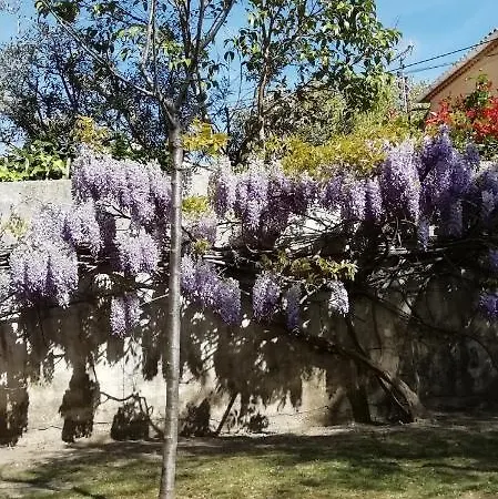 Bed & Breakfast Chez Fleur Avignon